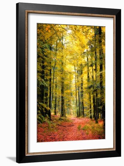 Paintography Wood-Philippe Sainte-Laudy-Framed Photographic Print