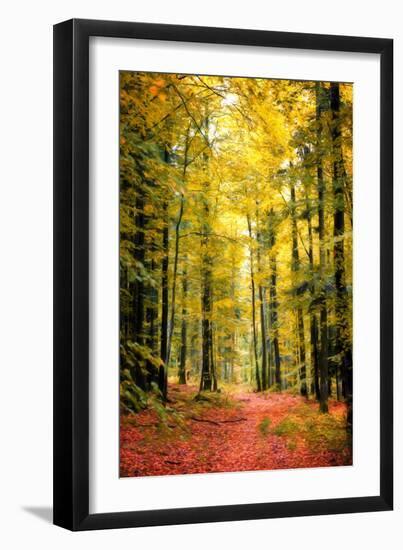 Paintography Wood-Philippe Sainte-Laudy-Framed Photographic Print