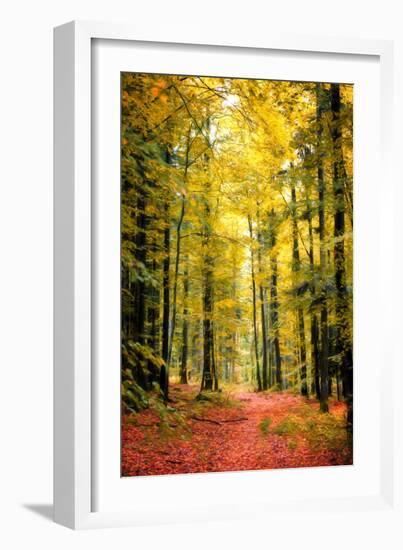 Paintography Wood-Philippe Sainte-Laudy-Framed Photographic Print