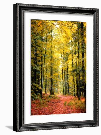 Paintography Wood-Philippe Sainte-Laudy-Framed Photographic Print