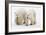 Pair of Adolescent Polar Bear Cubs-Howard Ruby-Framed Photographic Print