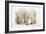 Pair of Adolescent Polar Bear Cubs-Howard Ruby-Framed Photographic Print