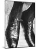 Pair of Alligator Shoes Sold at Neman Marcus For $135 Dollars-Francis Miller-Mounted Photographic Print