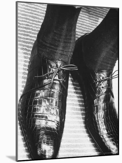 Pair of Alligator Shoes Sold at Neman Marcus For $135 Dollars-Francis Miller-Mounted Photographic Print