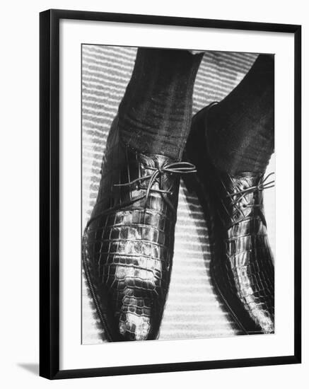 Pair of Alligator Shoes Sold at Neman Marcus For $135 Dollars-Francis Miller-Framed Photographic Print