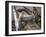 Pair of American Servicemen Moving a Large Bomb at an Ammunition Dump During WWII-null-Framed Photographic Print