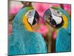 Premium Photographic Print