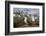 Pair of Blue-Footed Boobies-Paul Souders-Framed Photographic Print