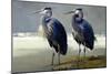 Pair of Blue Herons-Vivienne Dupont-Mounted Art Print