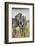 Pair of Burchell's Zebras Nuzzling Up to Each Other, Masai Mara, Kenya-Adam Jones-Framed Photographic Print