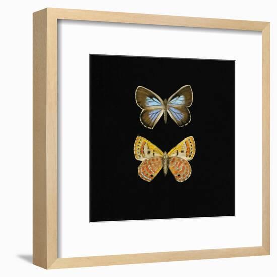 Pair of Butterflies on Black-Joanna Charlotte-Framed Art Print