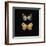 Pair of Butterflies on Black-Joanna Charlotte-Framed Art Print