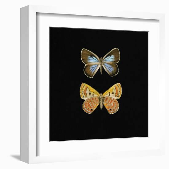 Pair of Butterflies on Black-Joanna Charlotte-Framed Art Print