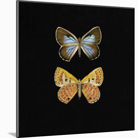 Pair of Butterflies on Black-Joanna Charlotte-Mounted Art Print