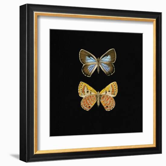 Pair of Butterflies on Black-Joanna Charlotte-Framed Art Print