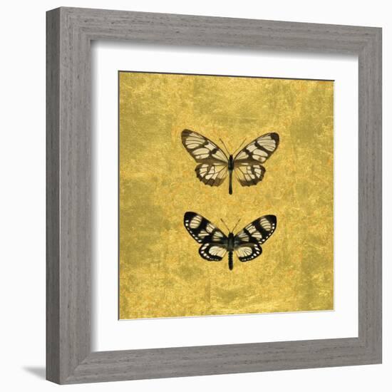 Pair of Butterflies on Gold-Joanna Charlotte-Framed Art Print