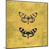 Pair of Butterflies on Gold-Joanna Charlotte-Mounted Art Print