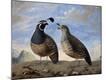 Premium Giclee Print