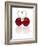 Pair of Cherries Forming a Heart-Kröger & Gross-Framed Photographic Print