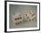 Pair of Dice-Jennifer Kennard-Framed Photographic Print