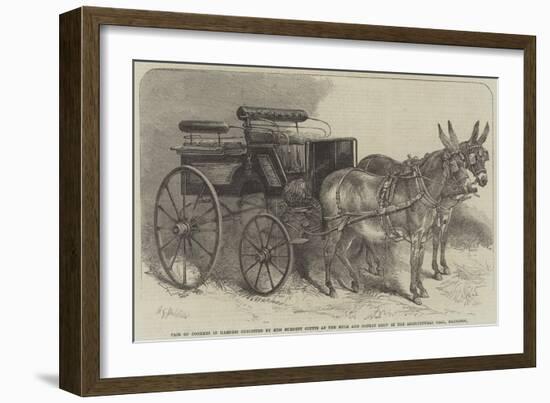 Pair of Donkeys in Harness Exhibited by Miss Burdett Coutts at the Mule and Donkey Show in the Agri-Harden Sidney Melville-Framed Giclee Print