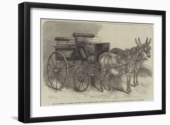 Pair of Donkeys in Harness Exhibited by Miss Burdett Coutts at the Mule and Donkey Show in the Agri-Harden Sidney Melville-Framed Giclee Print