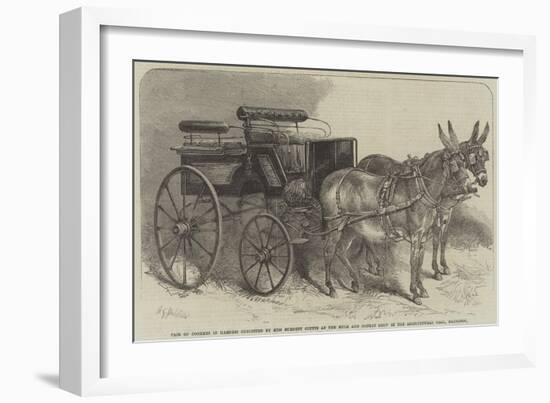 Pair of Donkeys in Harness Exhibited by Miss Burdett Coutts at the Mule and Donkey Show in the Agri-Harden Sidney Melville-Framed Giclee Print