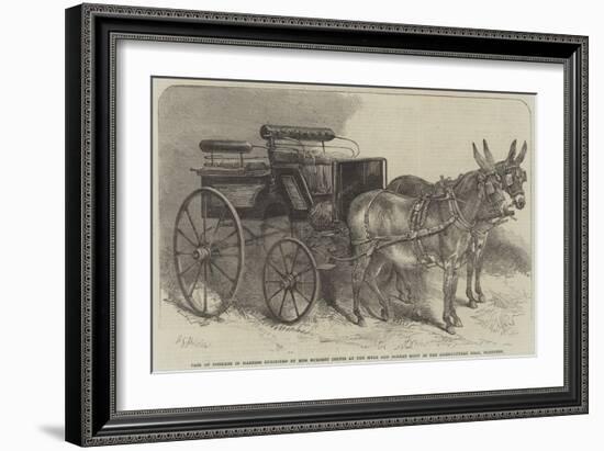 Pair of Donkeys in Harness Exhibited by Miss Burdett Coutts at the Mule and Donkey Show in the Agri-Harden Sidney Melville-Framed Giclee Print