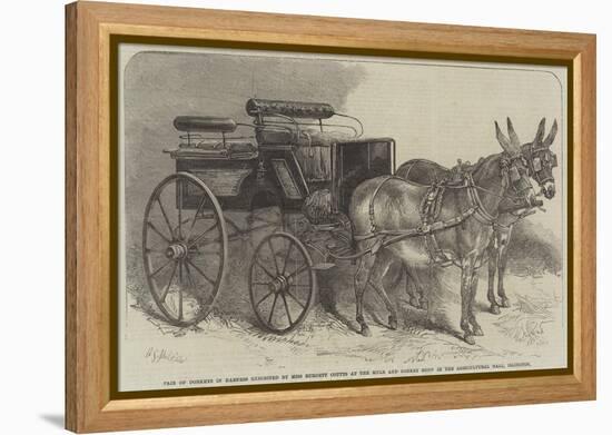 Pair of Donkeys in Harness Exhibited by Miss Burdett Coutts at the Mule and Donkey Show in the Agri-Harden Sidney Melville-Framed Premier Image Canvas