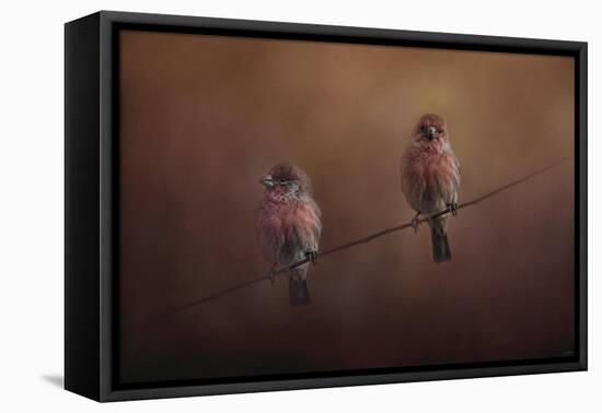 Pair of Finches-Jai Johnson-Framed Premier Image Canvas