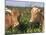 Pair of Guernsey Cows (Bos Taurus) Wisconsin, USA-Lynn M. Stone-Mounted Photographic Print