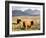 Pair of Highland Cows Grazing Among Heather Near Drinan, on Road to Elgol, Isle of Skye, Highlands,-Lee Frost-Framed Photographic Print