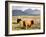 Pair of Highland Cows Grazing Among Heather Near Drinan, on Road to Elgol, Isle of Skye, Highlands,-Lee Frost-Framed Photographic Print