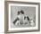 Pair of Japanese Chins Owned by Hudson One Sitting and One Lying Down-Thomas Fall-Framed Photographic Print