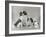 Pair of Japanese Chins Owned by Hudson One Sitting and One Lying Down-Thomas Fall-Framed Photographic Print