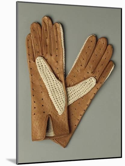 Pair of Leather and Lace Gloves-null-Mounted Giclee Print