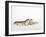 Pair of Leopard Geckos-Petra Wegner-Framed Photographic Print