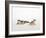 Pair of Leopard Geckos-Petra Wegner-Framed Photographic Print