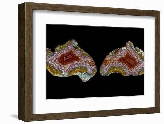 Pair of Mexican Laguna Banded Agate, Quartzsite, AZ-Darrell Gulin-Framed Photographic Print