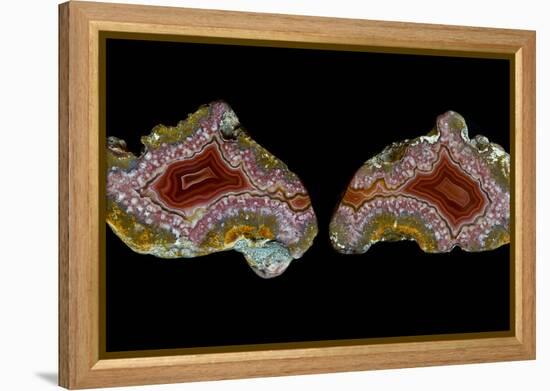 Pair of Mexican Laguna Banded Agate, Quartzsite, AZ-Darrell Gulin-Framed Premier Image Canvas