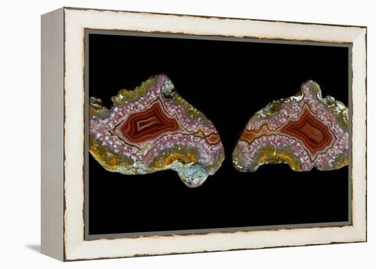 Pair of Mexican Laguna Banded Agate, Quartzsite, AZ-Darrell Gulin-Framed Premier Image Canvas