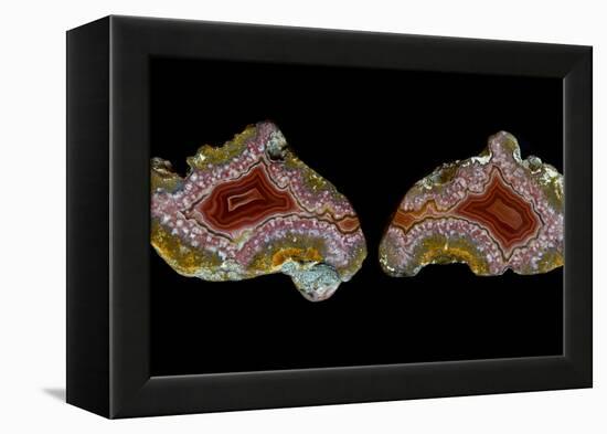 Pair of Mexican Laguna Banded Agate, Quartzsite, AZ-Darrell Gulin-Framed Premier Image Canvas