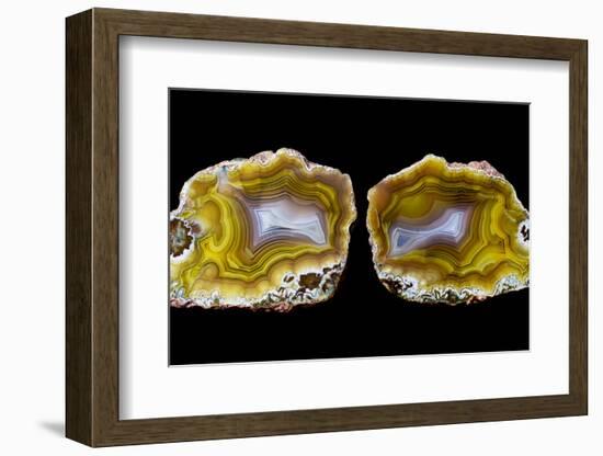 Pair of Mexican Laguna Banded Agate, Quartzsite, AZ-Darrell Gulin-Framed Photographic Print