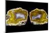 Pair of Mexican Laguna Banded Agate, Quartzsite, AZ-Darrell Gulin-Mounted Photographic Print