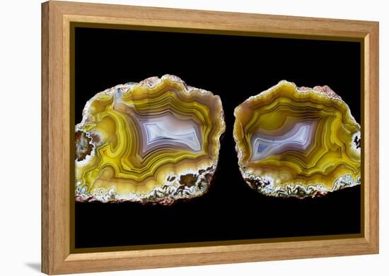 Pair of Mexican Laguna Banded Agate, Quartzsite, AZ-Darrell Gulin-Framed Premier Image Canvas