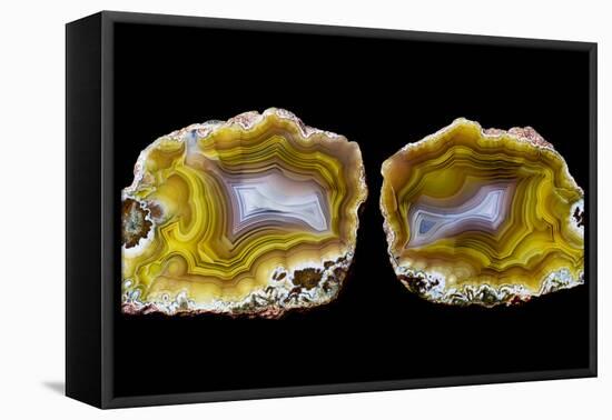 Pair of Mexican Laguna Banded Agate, Quartzsite, AZ-Darrell Gulin-Framed Premier Image Canvas