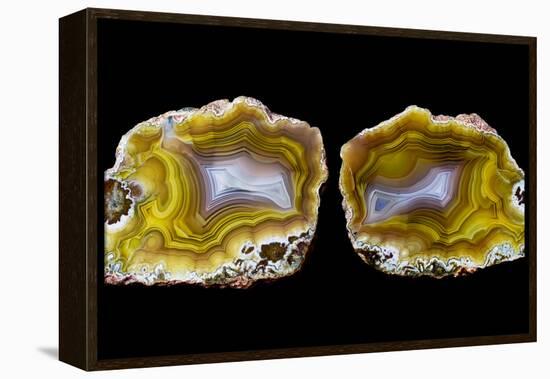 Pair of Mexican Laguna Banded Agate, Quartzsite, AZ-Darrell Gulin-Framed Premier Image Canvas
