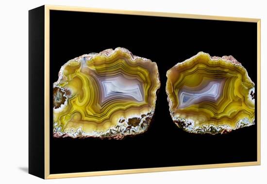 Pair of Mexican Laguna Banded Agate, Quartzsite, AZ-Darrell Gulin-Framed Premier Image Canvas