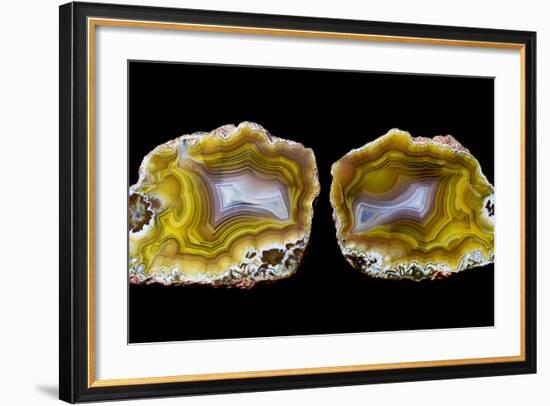 Pair of Mexican Laguna Banded Agate, Quartzsite, AZ-Darrell Gulin-Framed Photographic Print