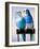 Pair of Parakeets Perching on Chair Back-Ted Horowitz-Framed Photographic Print